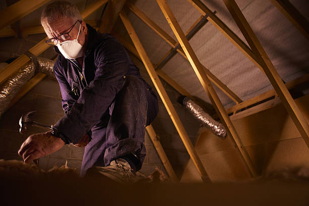 Best Cellulose Insulation in Zolfo Springs, FL